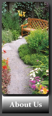 Garden Maintenance by Dublin Gardens, The experienced gardener in South Dublin